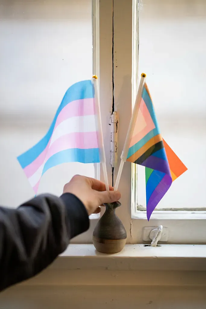 Two rainbow flags