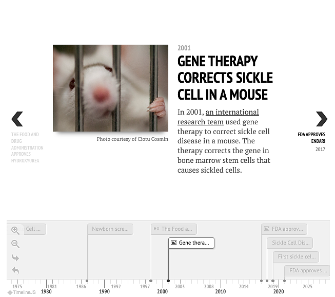 Timeline of Sickle Cell Disease