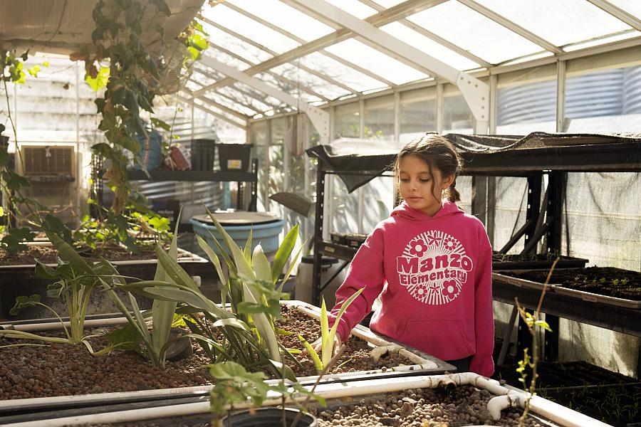 A girl wearing a pink Manzo Elementary sweatshirt tends plants in a school greenhouse.
