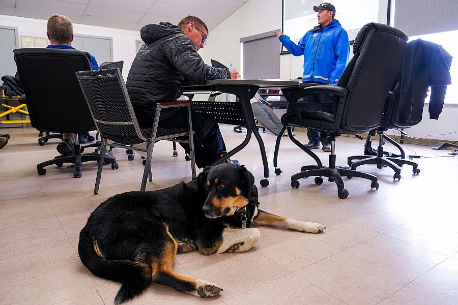 Image of a person with dog