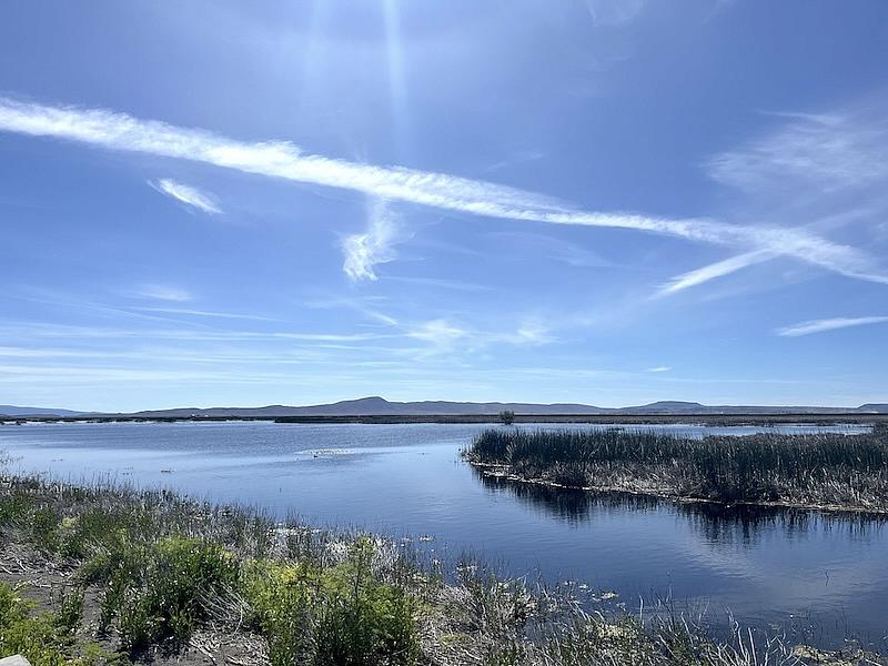 Water body with grass on either side