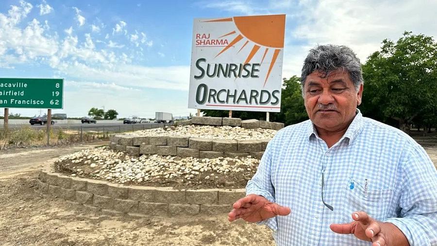 A person standing in an open space in front of camera, with banner of Sunrise Orchards behind him