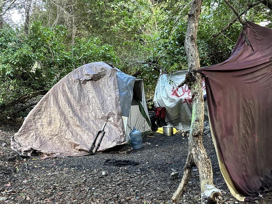 Tent in a forest