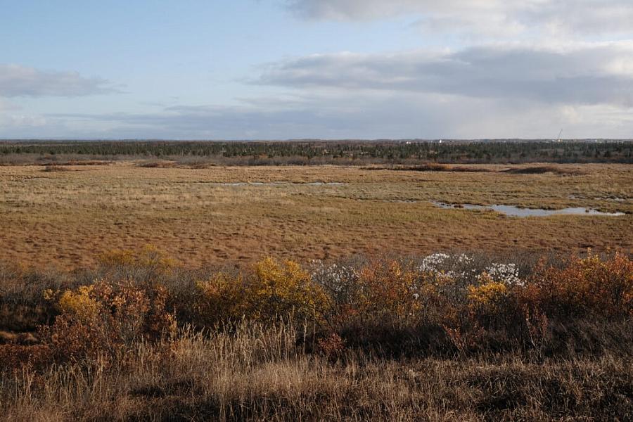 Image of farm