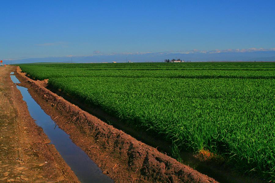The San Joaquin Valley.