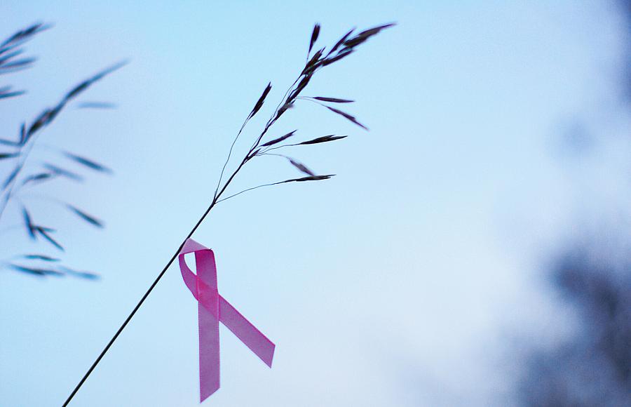  Breast Cancer Pink Ribbon