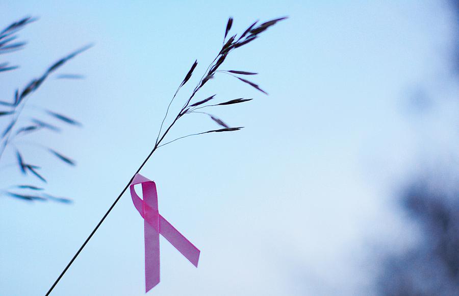 Breast Cancer Pink Ribbon