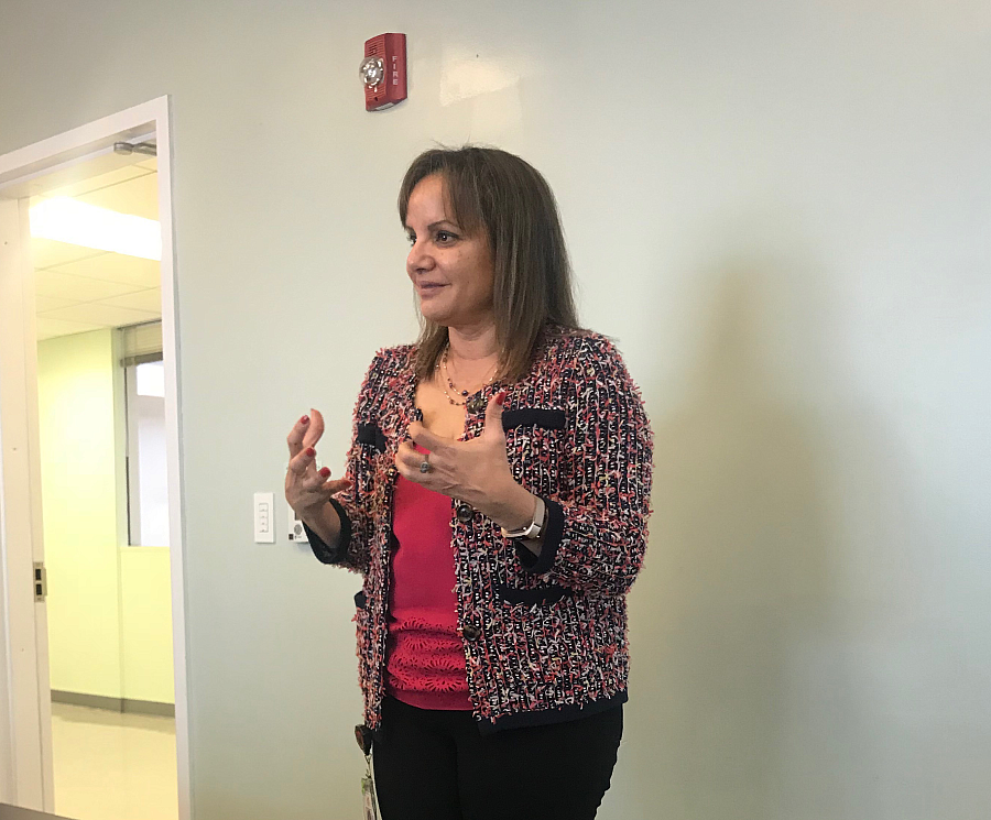 Pia Escudero, director of school mental health for LAUSD, speaks to fellows this week about trauma-informed care in schools.