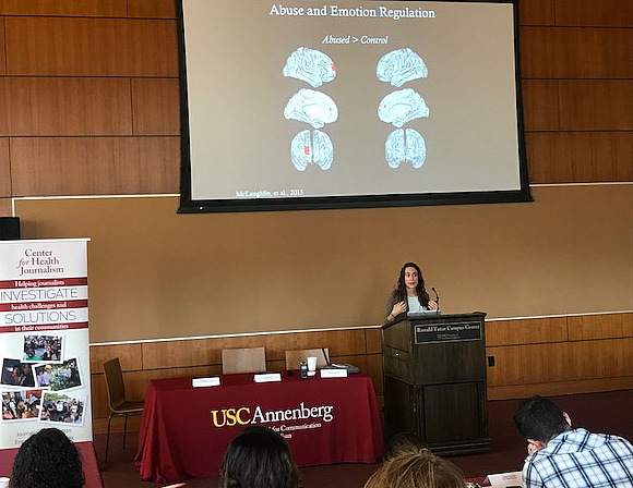 Katie McLaughlin, director of the Stress and Development Lab at the University of Washington, speaks to fellows at the 2017 Nati