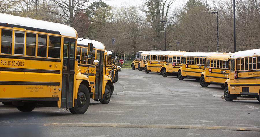 School buses lined up in parking lot