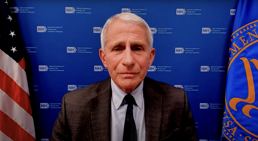 Dr. Anthony Fauci speaks at a Center for Health Journalism webinar this week. Dr. Anthony Fauci