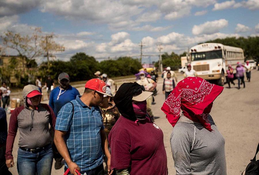 (Photo by Andrew West/News-Press/Naples Daily News)