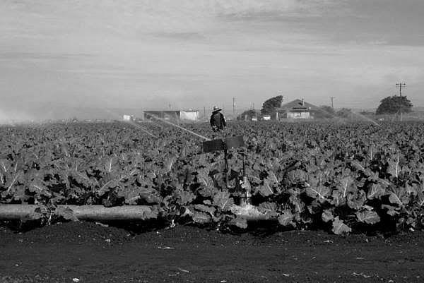 Shining a bright light on substandard housing in Salinas, California