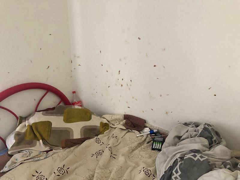 A Grand View tenant’s wall shows splotches of rusty red blood where bed bugs were smashed. Lindsey Holden LHOLDEN@THETRIBUNENEWS.COM