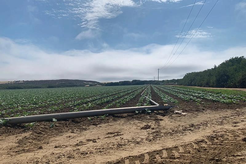 Benjamin Purper / Outdoor workers — especially people working in agriculture on the Nipomo Mesa — are often more heavily exposed to air pollution than people who work indoors.