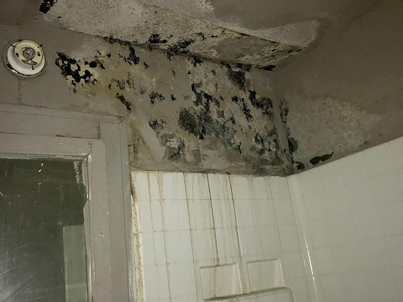 Angel Harris said the mold problem at her home started in her daughter's bedroom with this wall. She eventually sent her children to live with a relative because she was concerned about the condition of the home. TALIS SHELBOURNE / MILWAUKEE JOURNAL SENTINEL