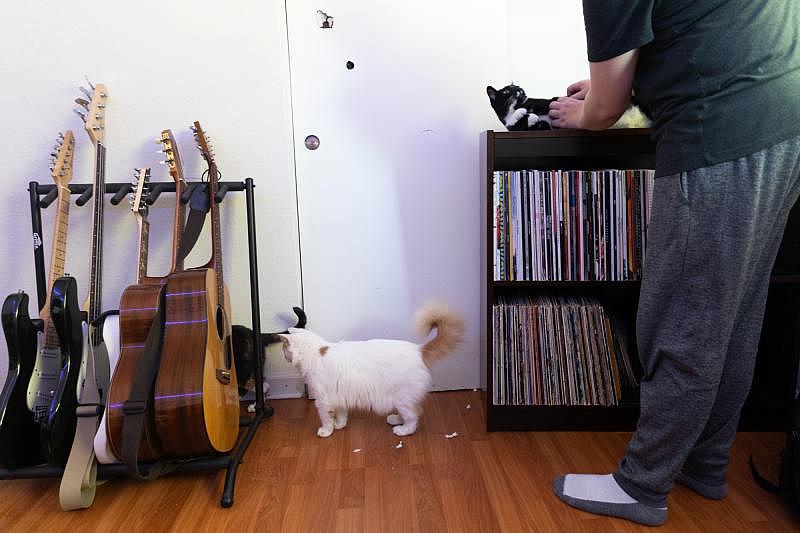 Brian pets his cat Yin Yang while others scurry about his guitars in his music studio in his Palo Alto home on Aug. 22, 2022. Photo by Magali Gauthier.