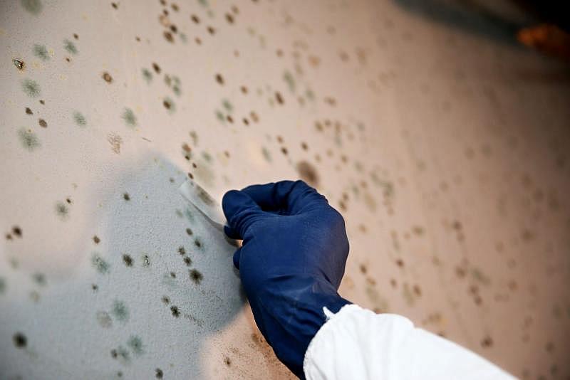 Kelly Jackson, owner and president of AJ Development Group, takes a sample of mold at a job site on North 41st Street. ANGELA PETERSON / MILWAUKEE JOURNAL SENTINEL