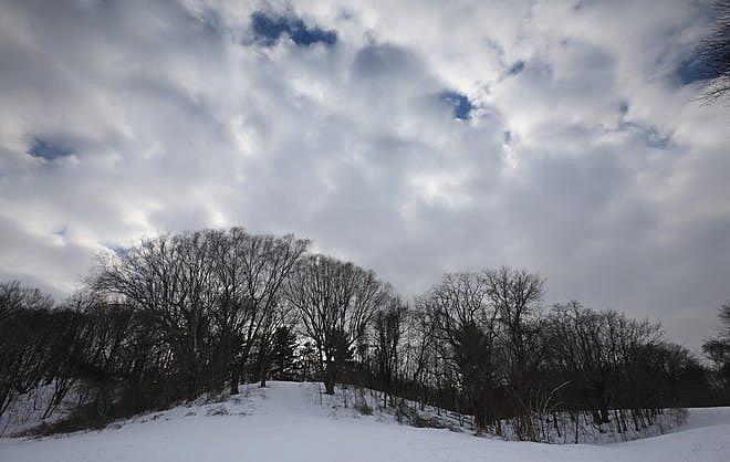 Many beautiful older trees along a rolling ridge line separating School 12 and Highland Park in Rochester Wednesday, Feb. 15, 2022. Shawn Dowd, Democrat And Chronicle