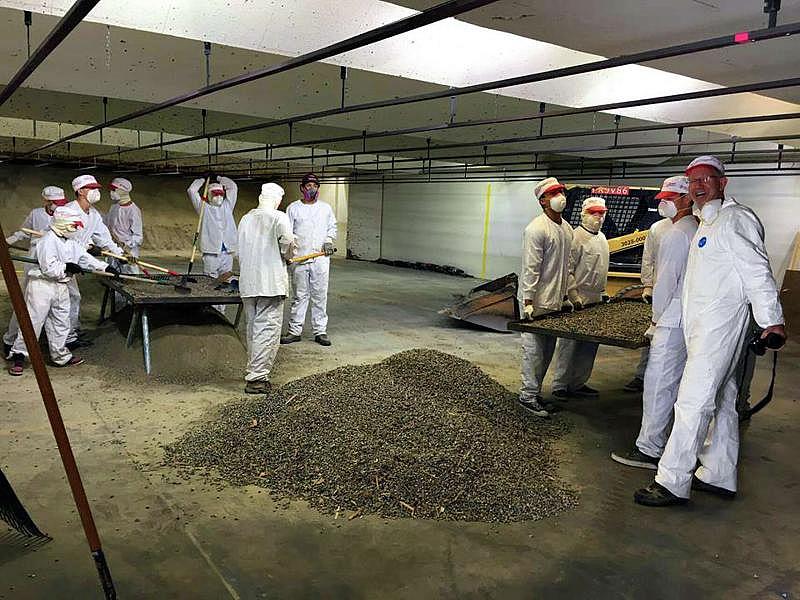 Members of Boy Scout Troop 232 in Grass Valley (Nevada County) use sifters at the Range, troop leader Jerod Johnson's indoor gun range in Grass Valley, in 2017, separating lead fragments embedded in sand used to absorb bullets fired at the range. Such hazardous work is supposed to be done by specially trained and outfitted adults.California Department of Public Health