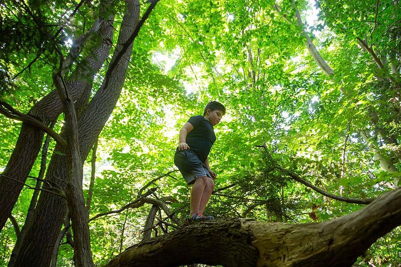 Kai Atallah climbs trees on a recent day as he and his mom go on a field trip during the afternoon hours of his homeschooling in Holland. Kai had been homeschooled full-time for the past 2.5 years in response to the use of restraint and seclusion tactics by his previous school. Kai was diagnosed with autism during his kindergarten year and the use of seclusion negatively affected his experience in the classroom. CODY SCANLAN/HOLLAND SENTINEL