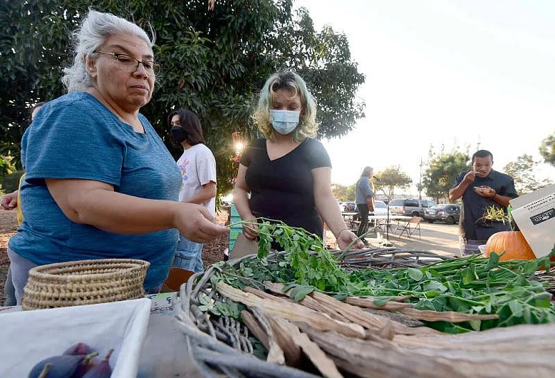 Customers Maria Martinez and her niece Isabella Acosta browse through some of the vegetables and herbs grown at the the Lopez Urban Farm during the launch of the daily farmers market, Bodega Comunitaria, in Pomona on Wednesday, Aug. 17, 2022. (Photo by Will Lester, Inland Valley Daily Bulletin/SCNG)