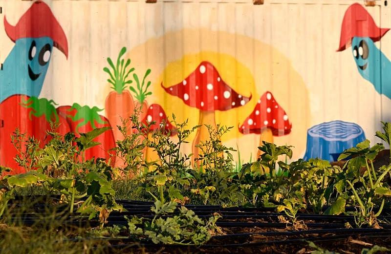 Vegetables grow in the late afternoon sun at the Lopez Urban Farm in Pomona on Wednesday, Aug. 17, 2022. (Photo by Will Lester, Inland Valley Daily Bulletin/SCNG) Vegetables grow in the late afternoon sun at the Lopez Urban Farm in Pomona on Wednesday, Aug. 17, 2022. (Photo by Will Lester, Inland Valley Daily Bulletin/SCNG)