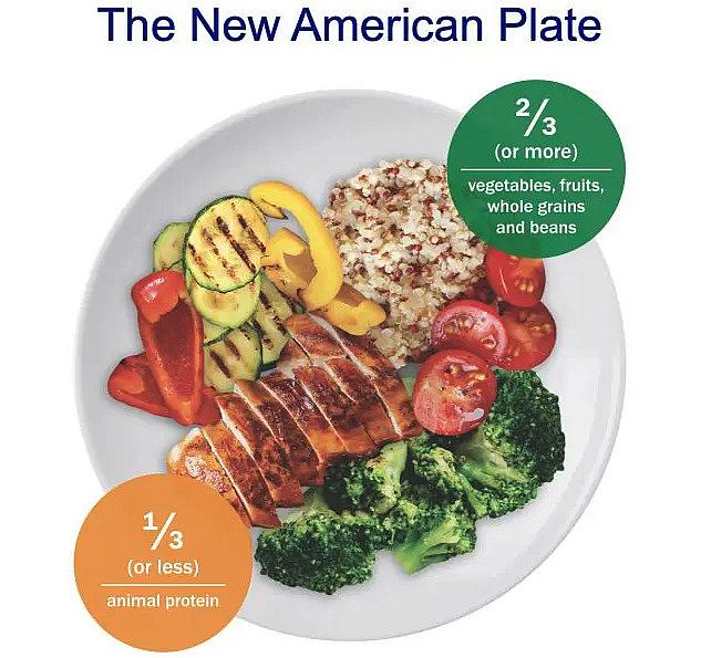 Differences in nutrition guidelines for American and Indian diets.