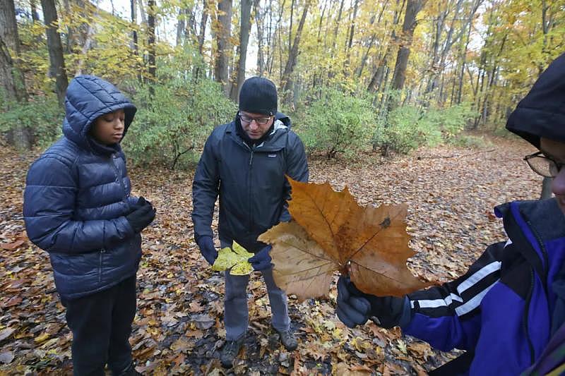 Chris Widmaier, executive director of Rochester Ecology Partners, center, identifies different tree types from their leaves with DeShawn Griffin, left, including the tulip tree leaf that he holds, during a walk around Washington Grove in Rochester with students participating in the Seneca Park Zoo Society's Urban Ecologist program. SHAWN DOWD, DEMOCRAT AND CHRONICLE