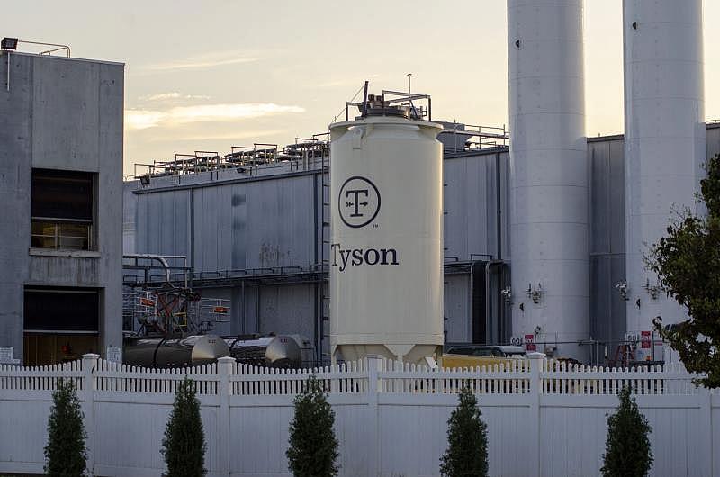 In August, Tyson Foods became one of the nations first major employers and the only major meatpacking company to mandate COVID-19 vaccination for frontline workers. The company announced in late October that more than 96 percent of its active workforce was fully vaccinated. Natalie Krebs / IPR