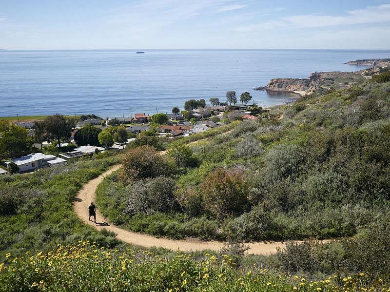 A hiking trail at Alta Vicente Reserve in Rancho Palos Verdes, a city neighboring Wilmington. Damon Casarez / The Guardian