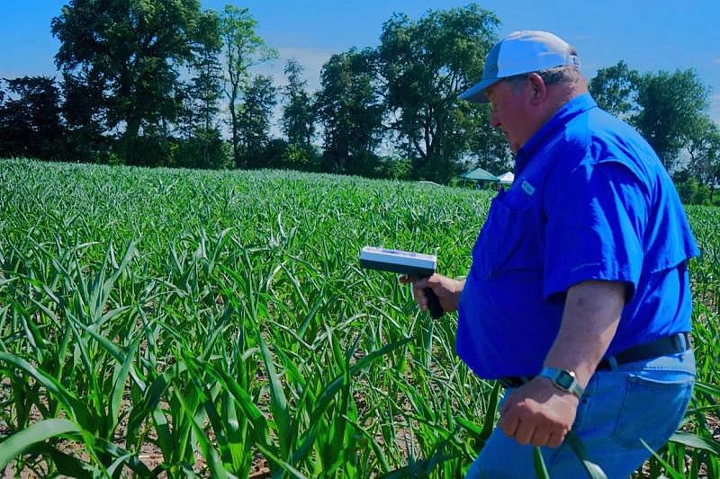 Art Tanderup, a retired teacher who now farms near Neligh, tries a infrared scanner that measures how much nitrogen the corn stalks contain in an UNL test plot on June 30, 2022. Concerned about nitrate, Tanderup attended this education event hosted by the Bazile Management Area to learn more about how to use nitrogen fertilizer more efficiently. Yanqi Xu/Flatwater Free Press