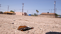 Broken glass litters an empty lot in East El Centro on Aug. 27, 2015.
