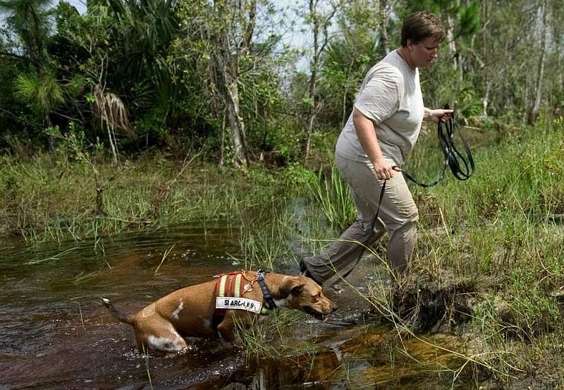 After searching a canal bank, Melissa Ellis leads cadaver dog Sasha across a waterway while searching for Annamarie Randazzo in areas adjacent to Burnt Store Road Friday, Aug. 5, 2005. Ellis teamed with a fellow volunteer from Bay Area Recovery K-9s to aid law enforcement in the search for the Cape Coral teenager. Stephen Hayford The News-Press