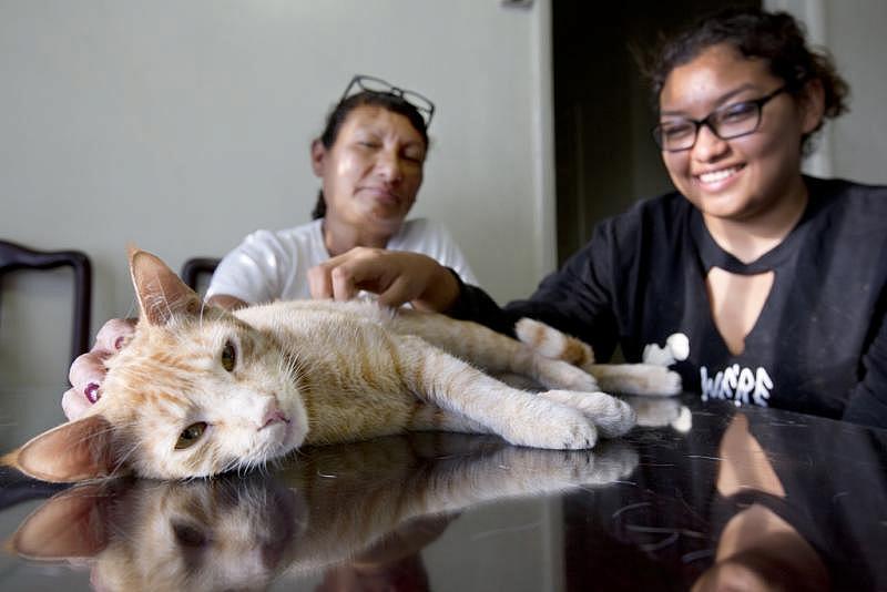 Carolina Torres, 17, was diagnosed with Type 2 diabetes when she was 11. Her mother Margarita Montes was diagnosed with the disease a few years later