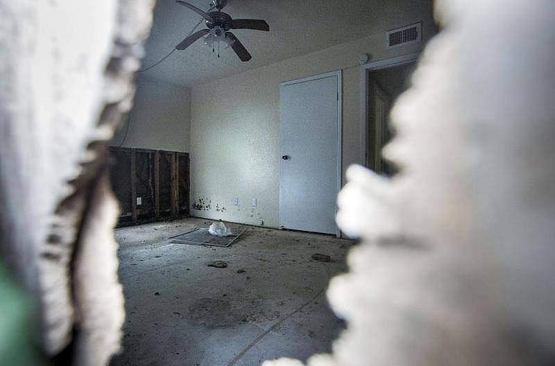 Black mold was evident at an Autumn Park apartment through a hole in the exterior wall Feb. 20, 2018. Some of the apartment buildings in the complex are still unlivable more than a year after Hurricane Harvey.