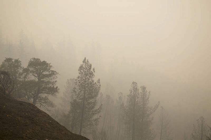 Overlook near Paradise Lake in Magalia on Nov. 13, 2018. (Anne Wernikoff/KQED)