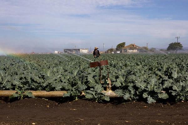 More than 90,000 farmworkers living in the Salinas and Pajaro Valley region earn an average of $17,500 a year. Yet, Salinas is one of the most expensive places to live in the U.S. SEBASTIÁN HIDALGO FOR THE SALINAS CALIFORNIAN AND CATCHLIGHT.IO