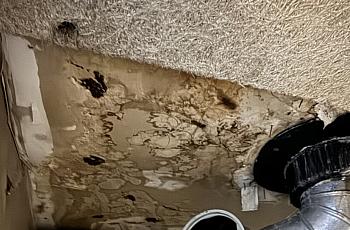 Mold on ceiling