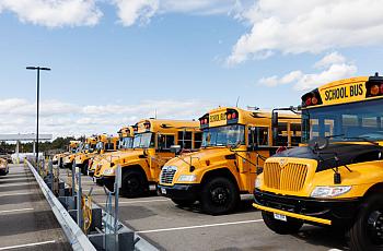 Yellow busses parked in a depot