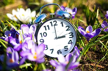 clock amid flowers