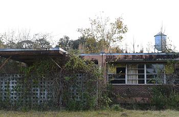 building surrounded by weeds and grass