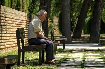 Person seated on a bench