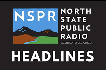 NSPR Logo