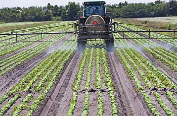 Tractor on a field 