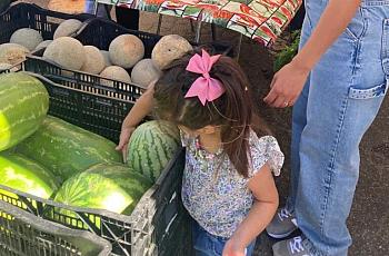 Young Girl looking at watermelon