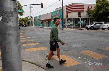 Person and dog walk on crosswalk