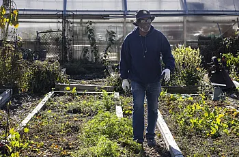 A person in a farm like setting