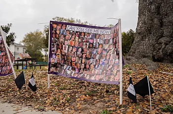 a board standing by a tree 