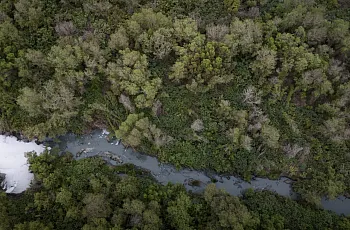 Top view of a river